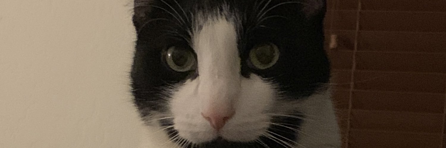 Alex banner