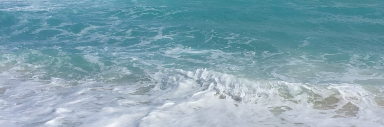 xoeliango's profile banner image