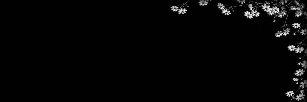 aminabiondo's profile banner image