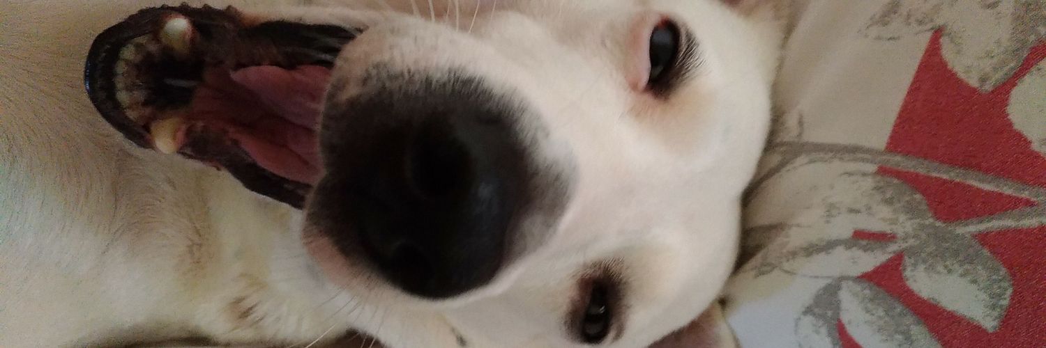 lorotanasio's profile banner image
