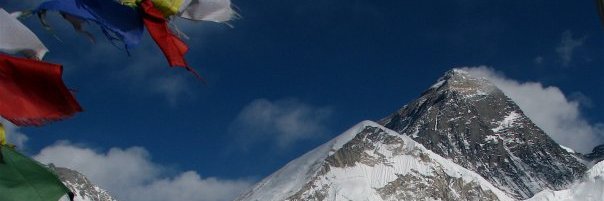 nrdpalmer's profile banner image