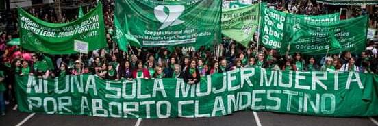 Amalia Musso💚 banner