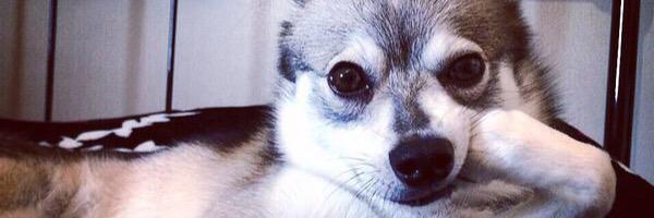 caitscaf's profile banner image