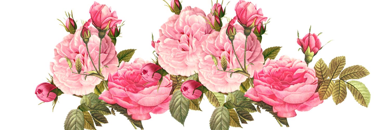 LoveVanillaRose's profile banner image