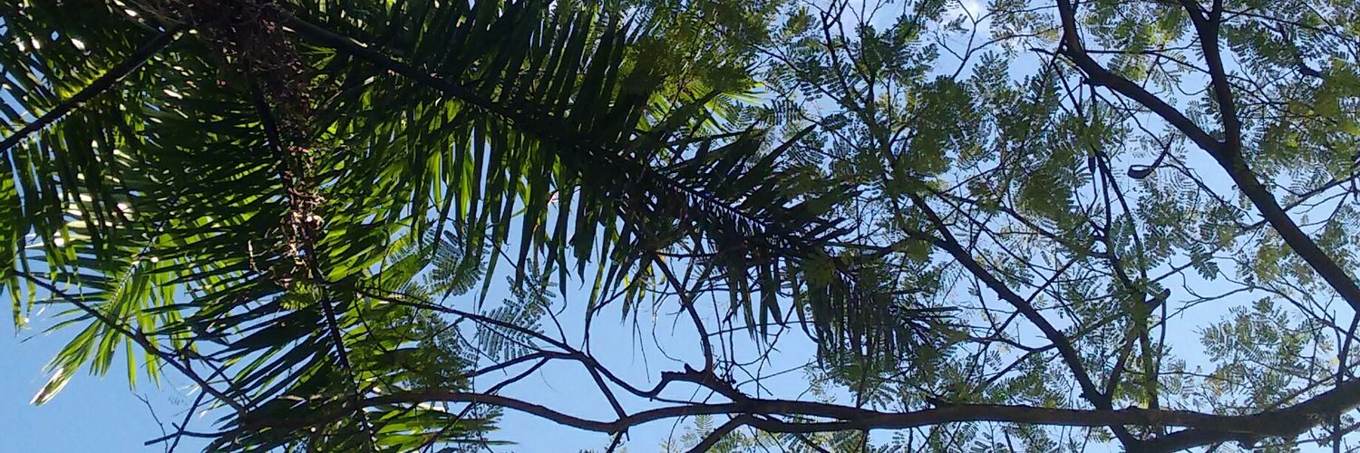 Blond_98's profile banner image