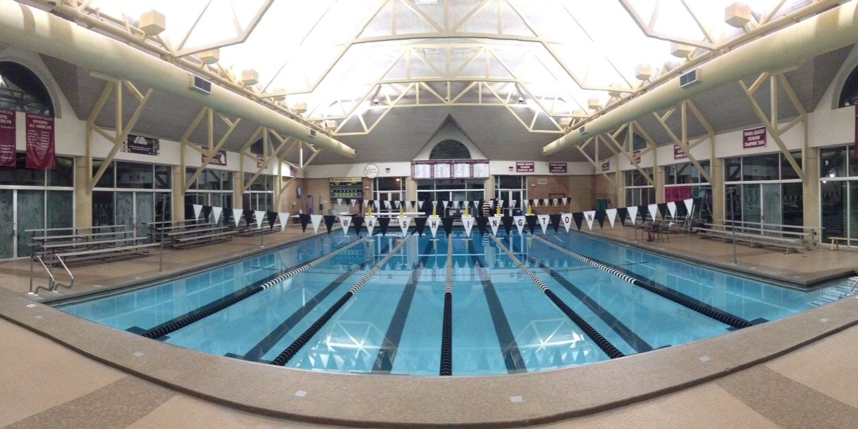 WC Swimming banner