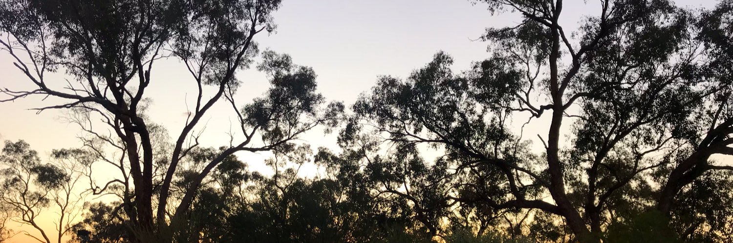 rez_jayma's profile banner image