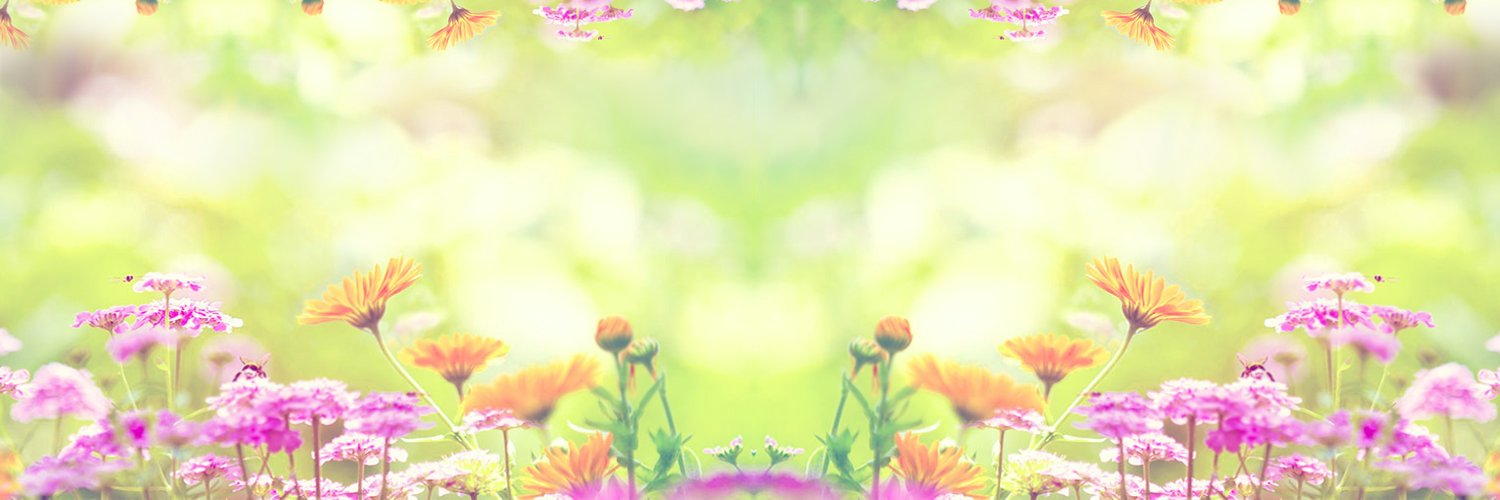 sonnig| ETHGas ⛽ banner