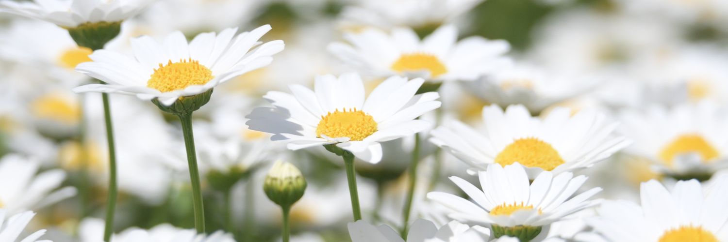 do41015292's profile banner image