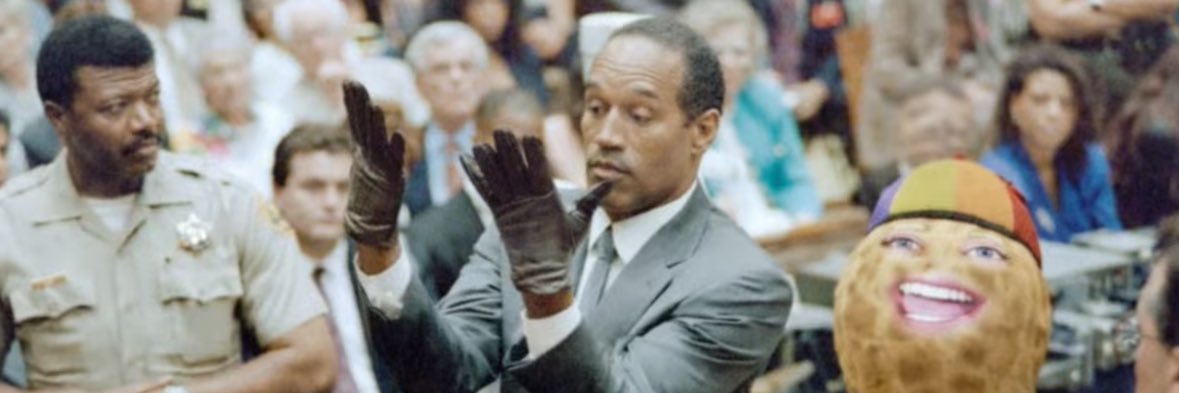 carter mulcahy banner