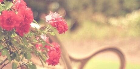 _irmaalvarez's profile banner image