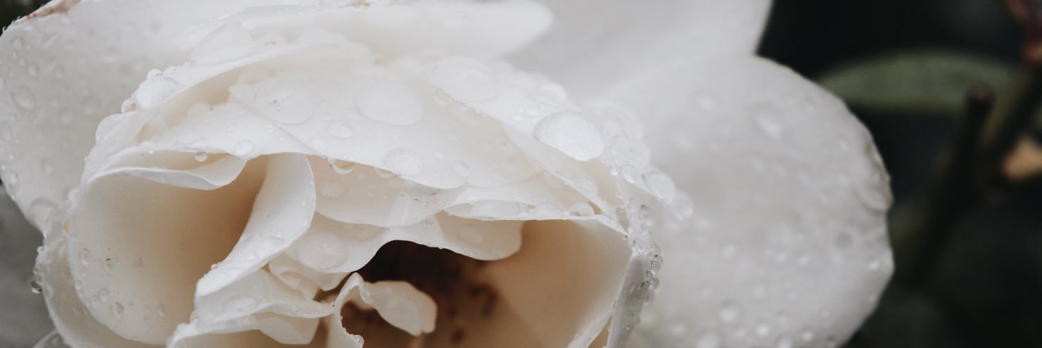 _KatyFitzgerald's profile banner image