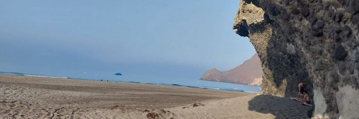Petti_Ruarte's profile banner image
