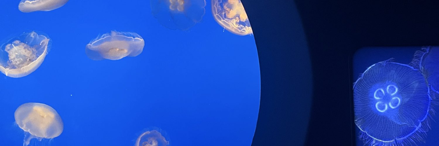 anjuulm's profile banner image