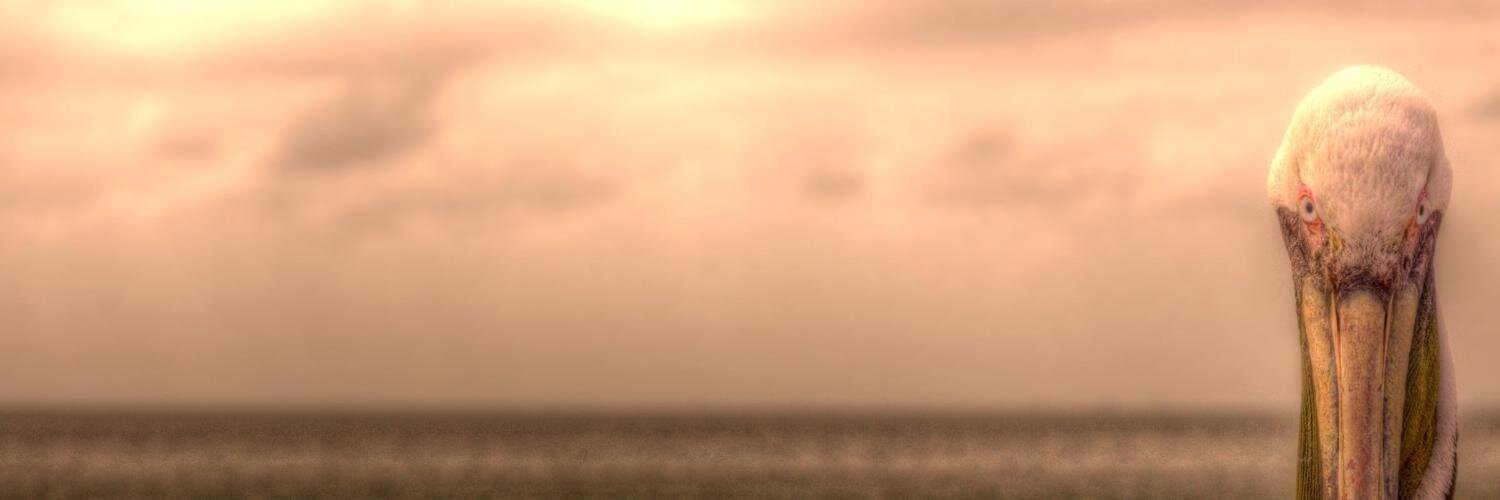 JJColosi's profile banner image