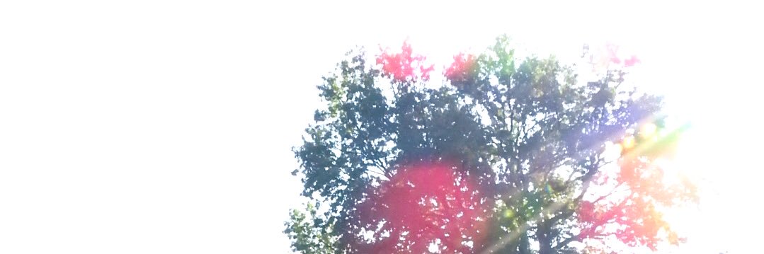 cottonsnow151's profile banner image