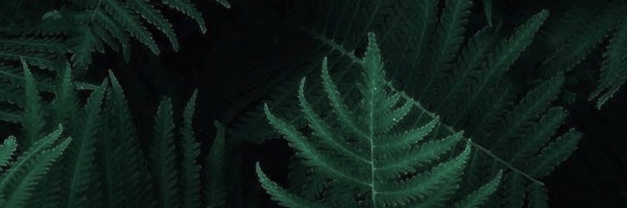 vidjacks's profile banner image