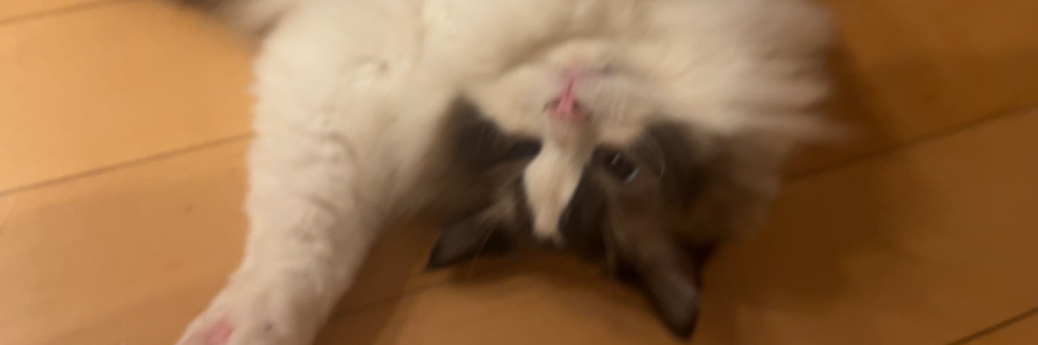 ayacoBB's profile banner image
