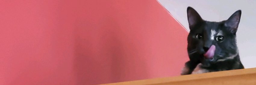 taikasmom's profile banner image
