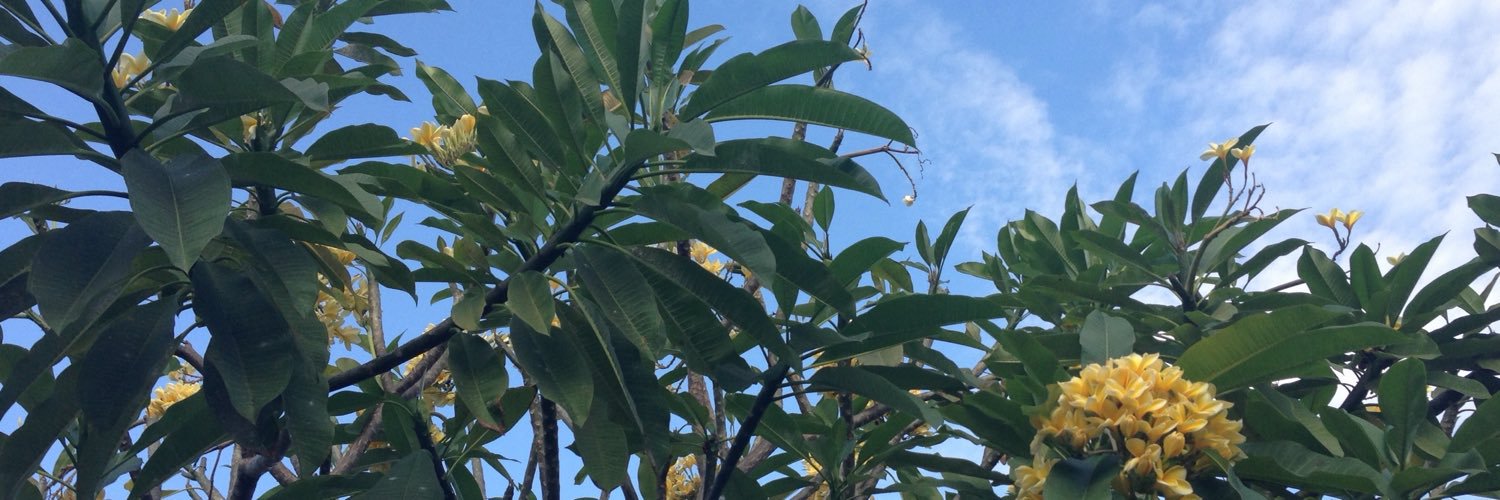 singaporetonext's profile banner image
