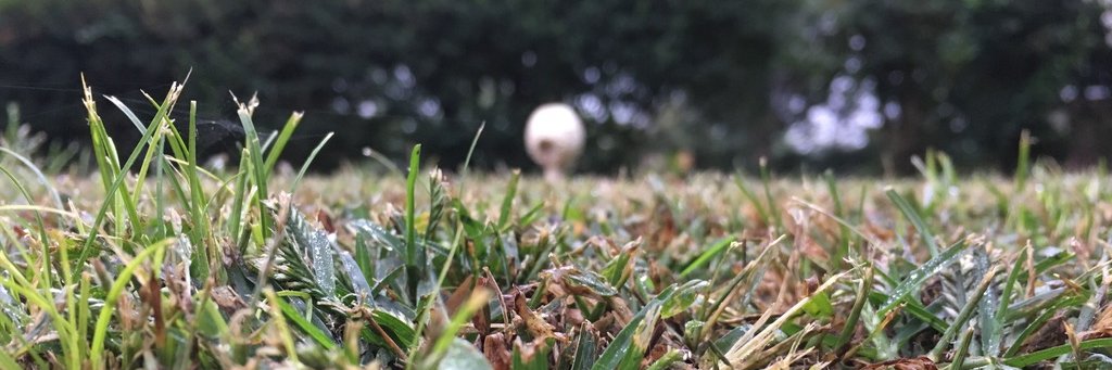 Carious1's profile banner image