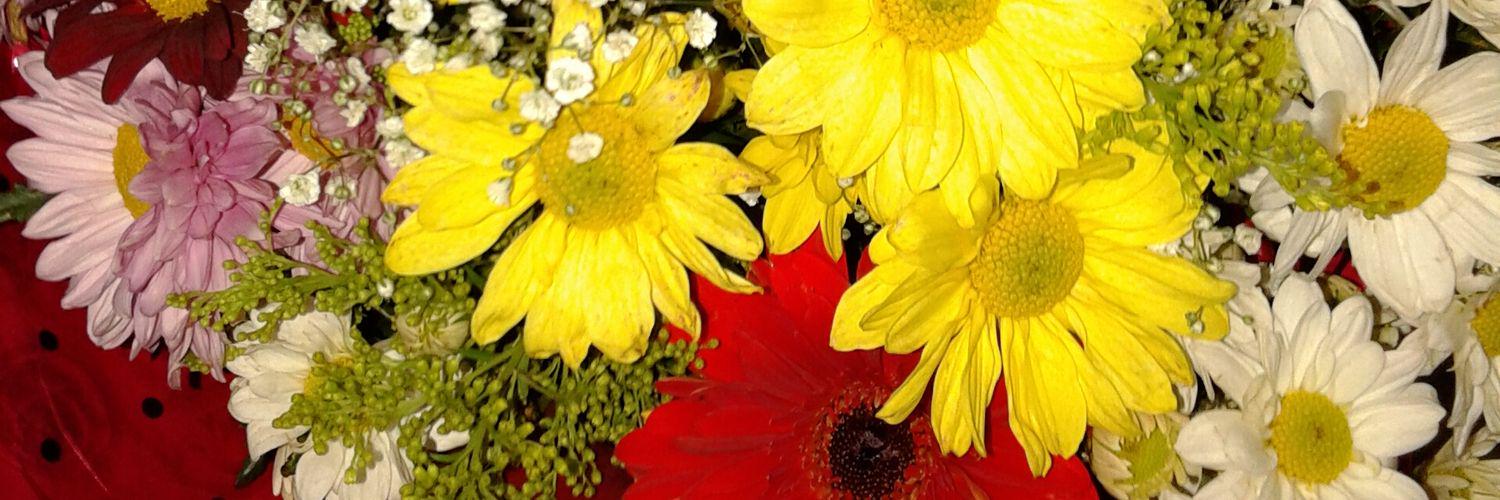 Mar_inha's profile banner image