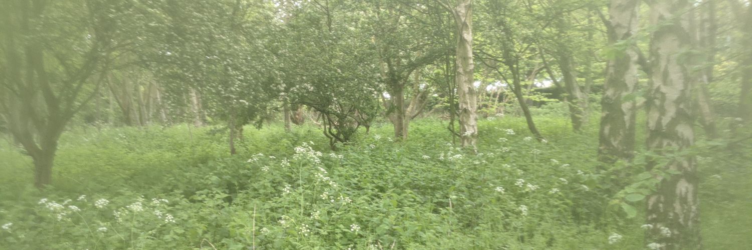 |Shop|Eat|Play|Stay| banner