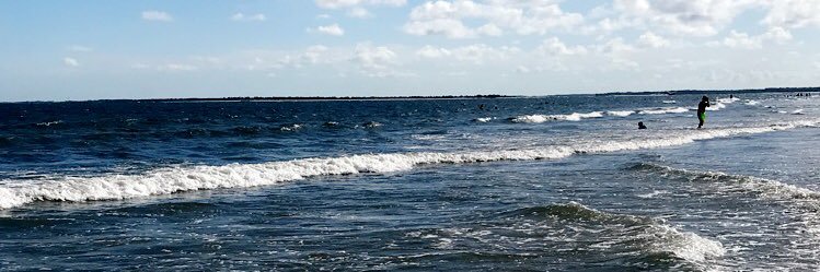 blesieur1's profile banner image