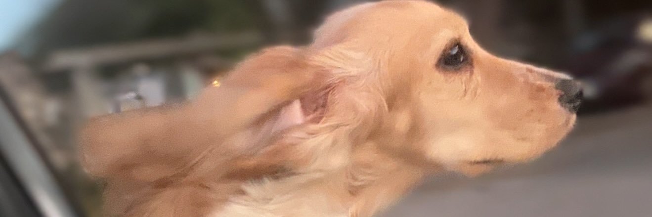 im_kaps69's profile banner image