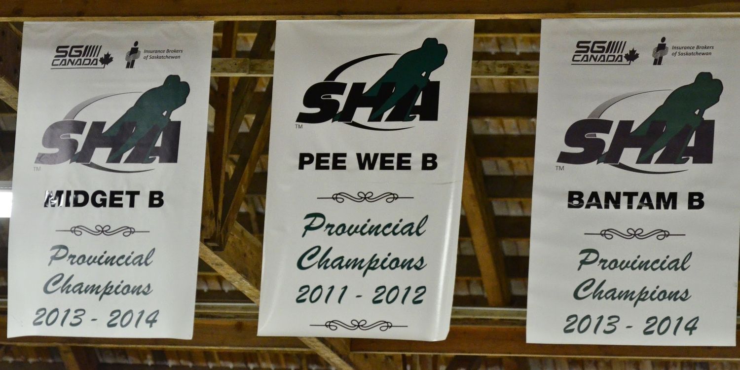 Muenster Flyers banner