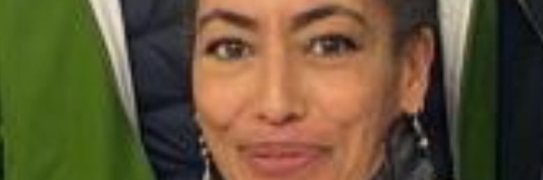 Alison Stoecker banner