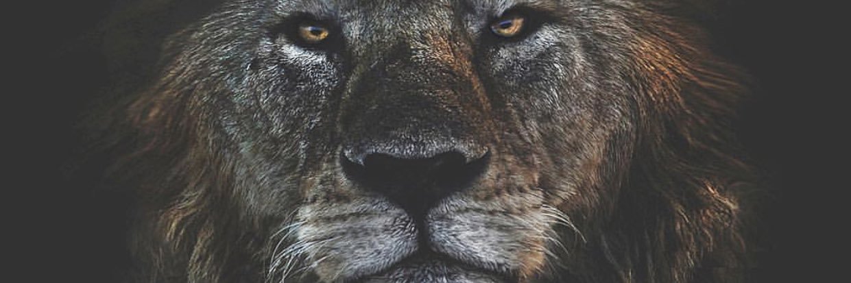 TheRJBryant's profile banner image