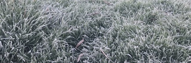 Derek McCormack banner