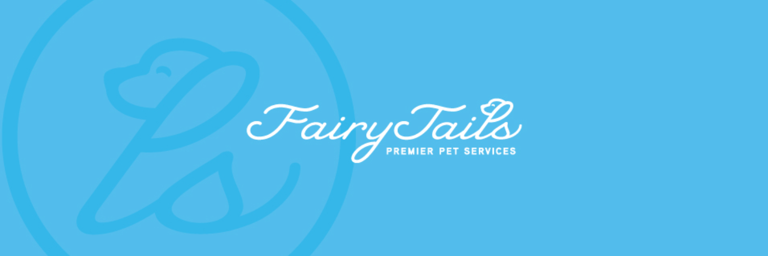 SAFairyTails's profile banner image