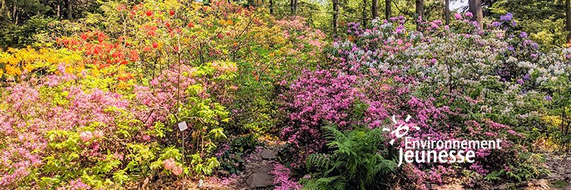 ENvironnement JEUnesse (ENJEU) banner
