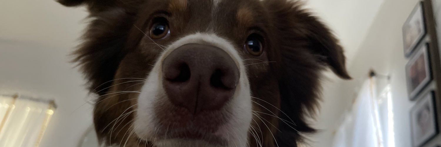 kfortnat's profile banner image