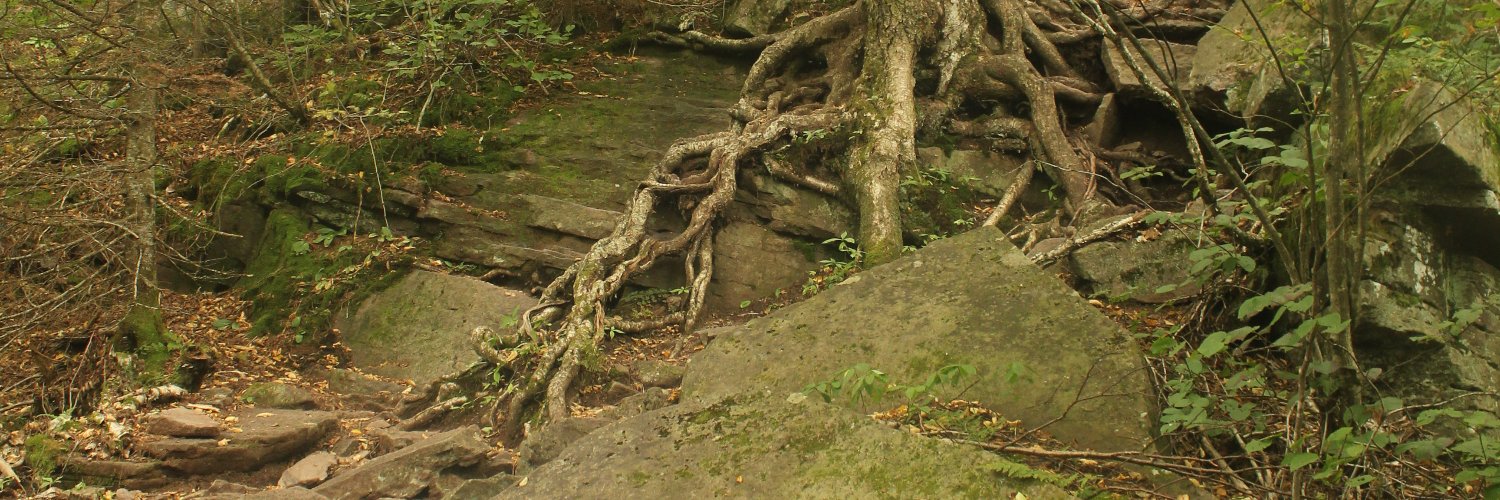 kjkabiru's profile banner image