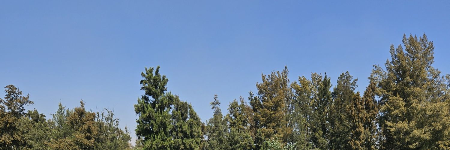 cucolovesyou's profile banner image