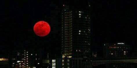 Red_moonF's profile banner image