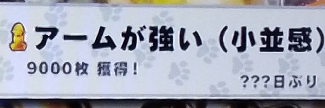 ぷっちょ＠FGOAC banner