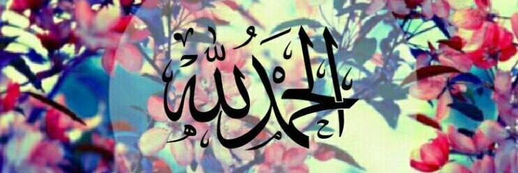 mrkha1ed's profile banner image