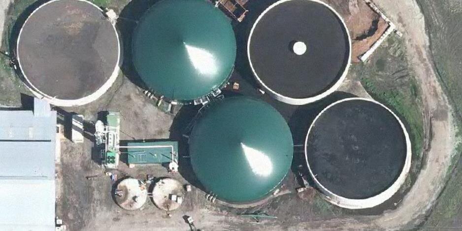 Christopher Bush banner