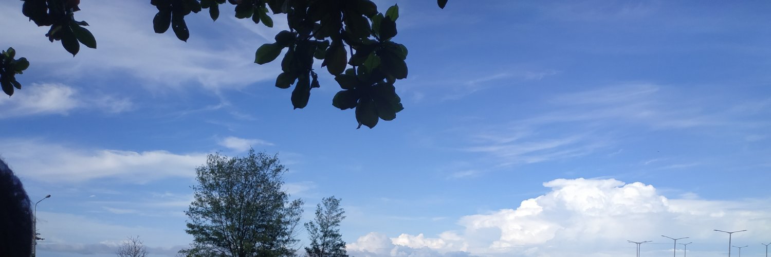 comedtz's profile banner image