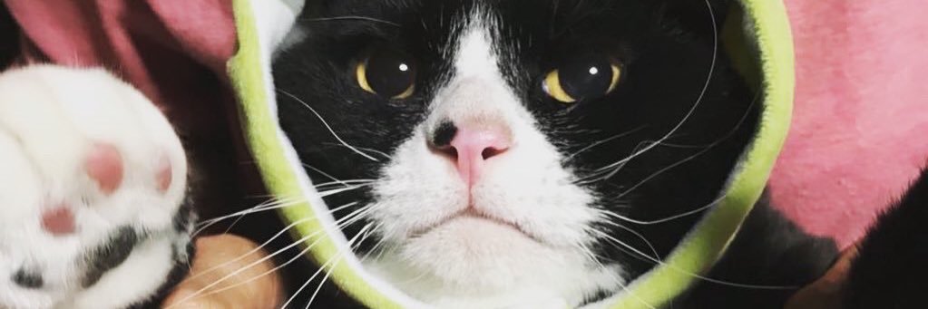 moko_tam's profile banner image