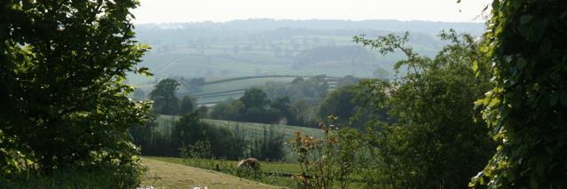 KayFirth-Butterfield banner