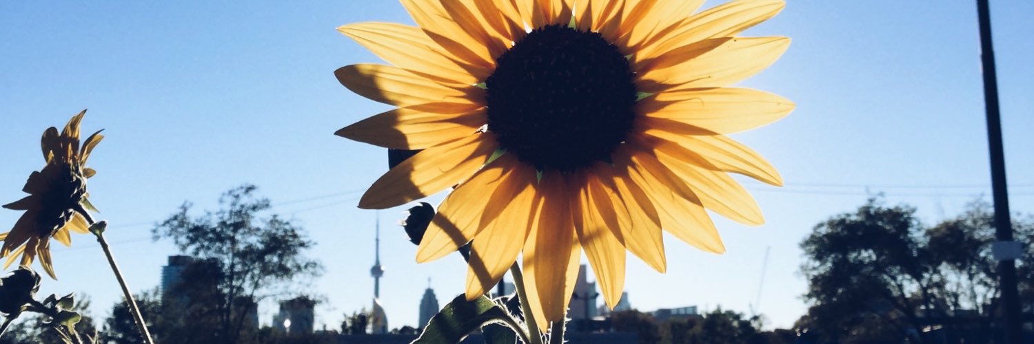 Husayn Marani banner