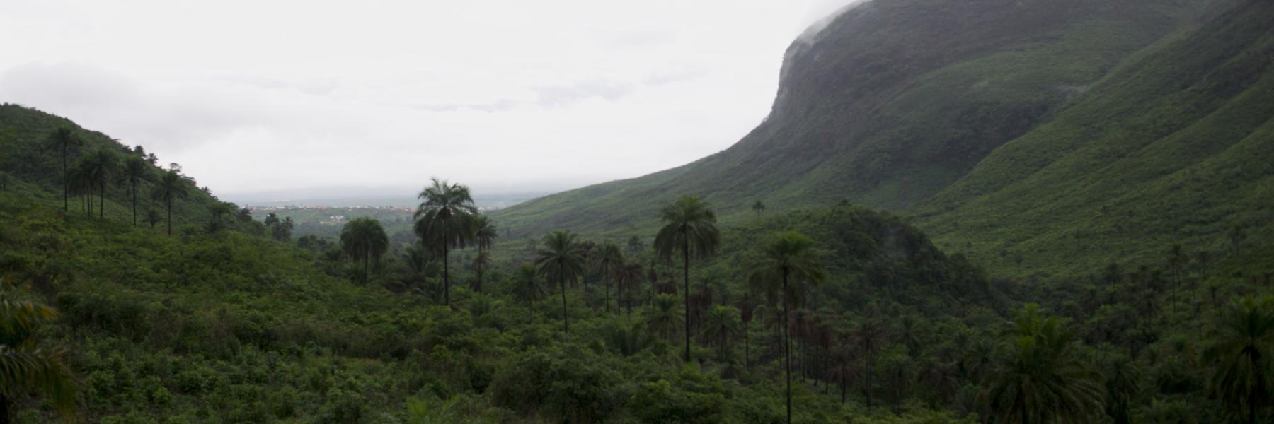 Richard Reithinger banner