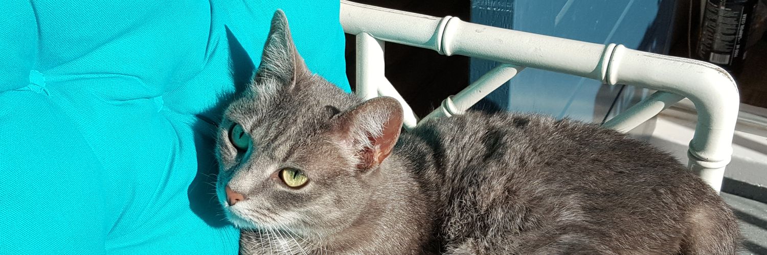 JSuurling's profile banner image