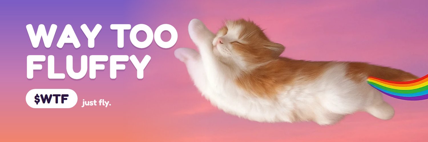 WayTooFluffySol's profile banner image