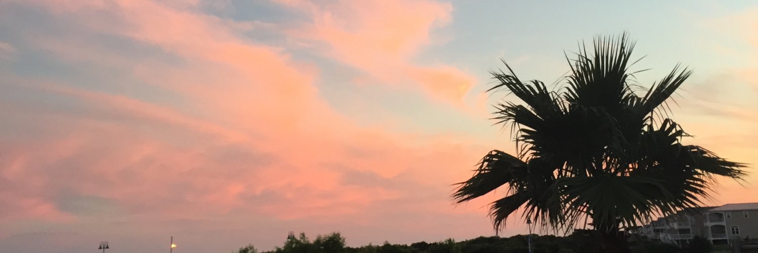 rebeccacapps_'s profile banner image